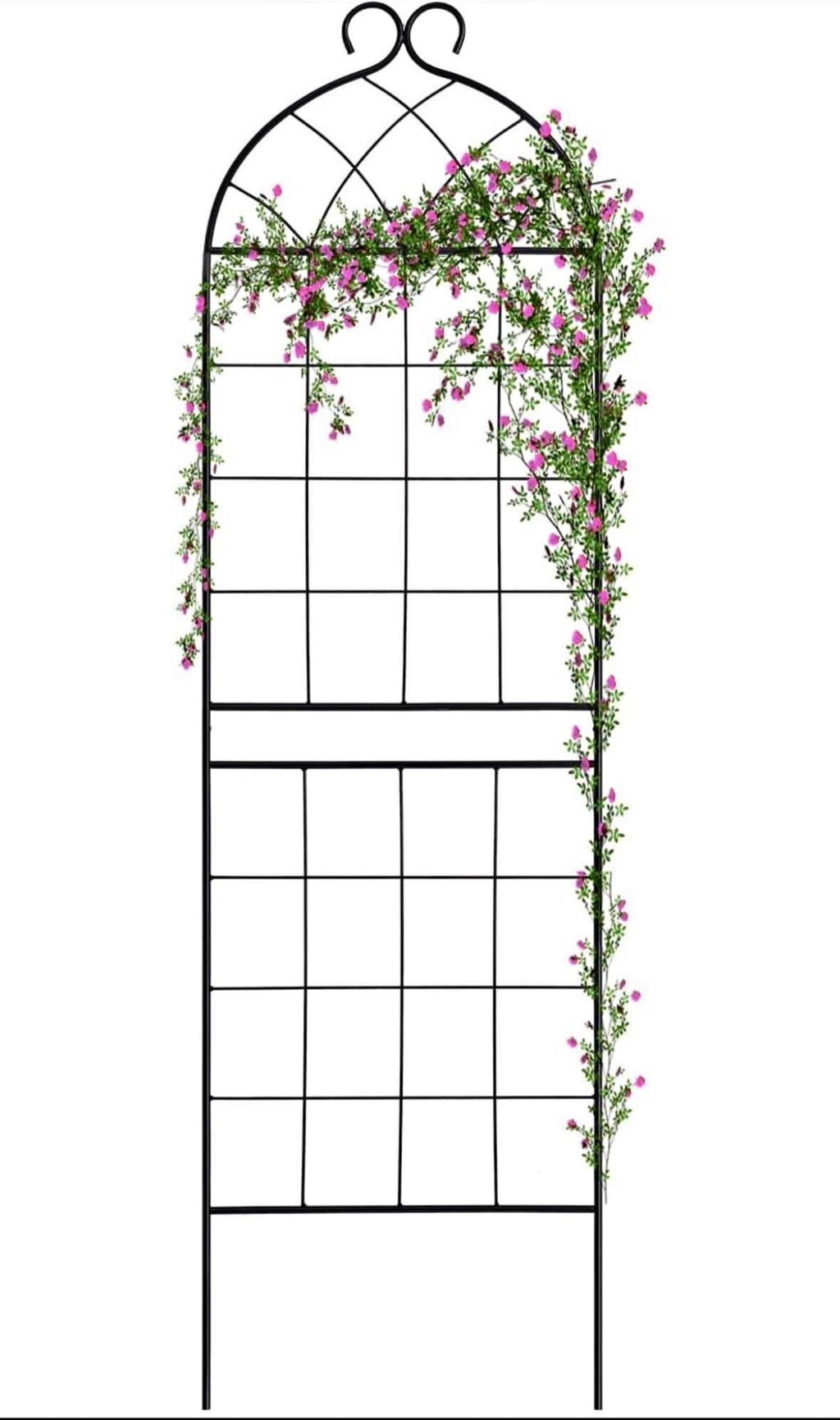 Garden Trellis 71" H x 19.7" W for Climbing Plants