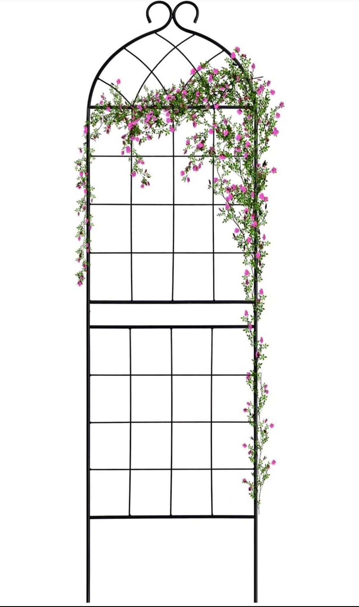 Garden Trellis 71" H x 19.7" W for Climbing Plants