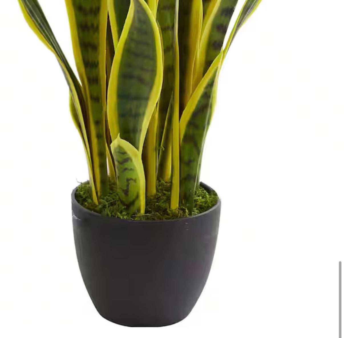 26 in. Indoor Sansevieria Artificial Plant