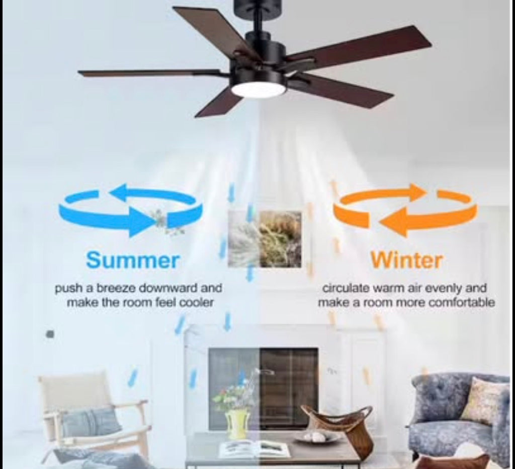 Charlie 42 in. Indoor Black Ceiling Fans with Light
