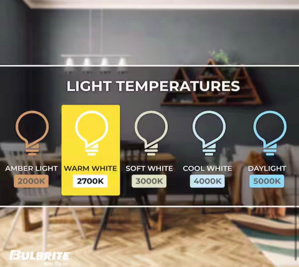 60-Watt Warm White Light G40 Bulb (12-Pack)