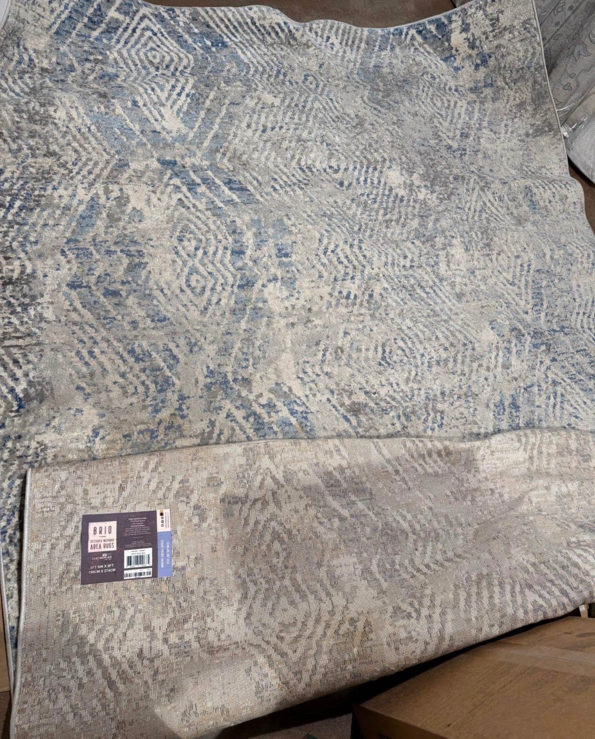 Brio Area Rug Emilio ( used condition)