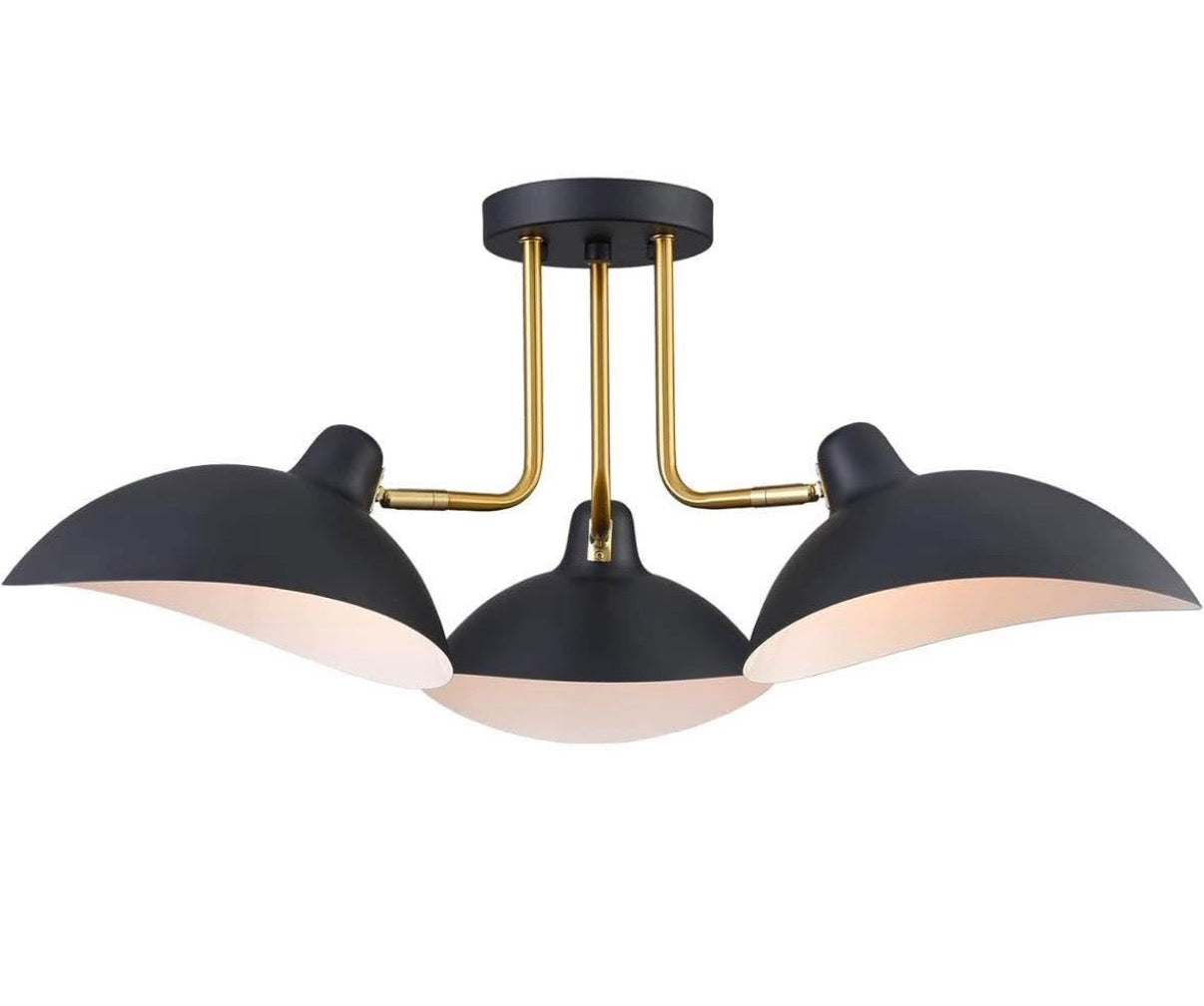 Multi-Directional Ceiling Light Fixture
