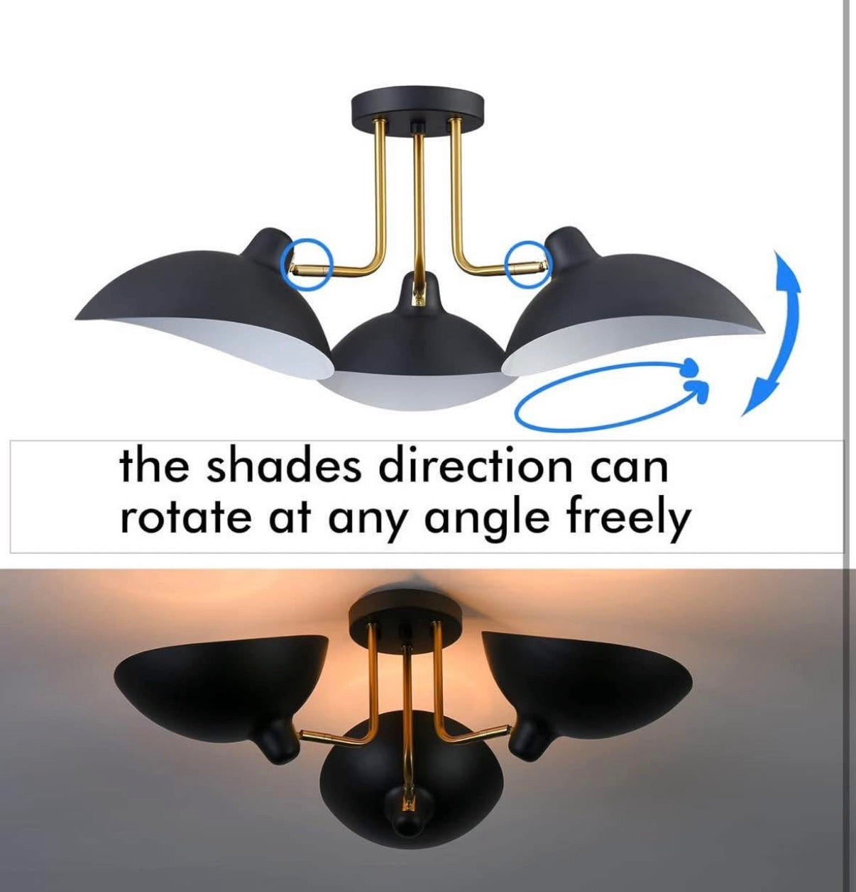 Multi-Directional Ceiling Light Fixture