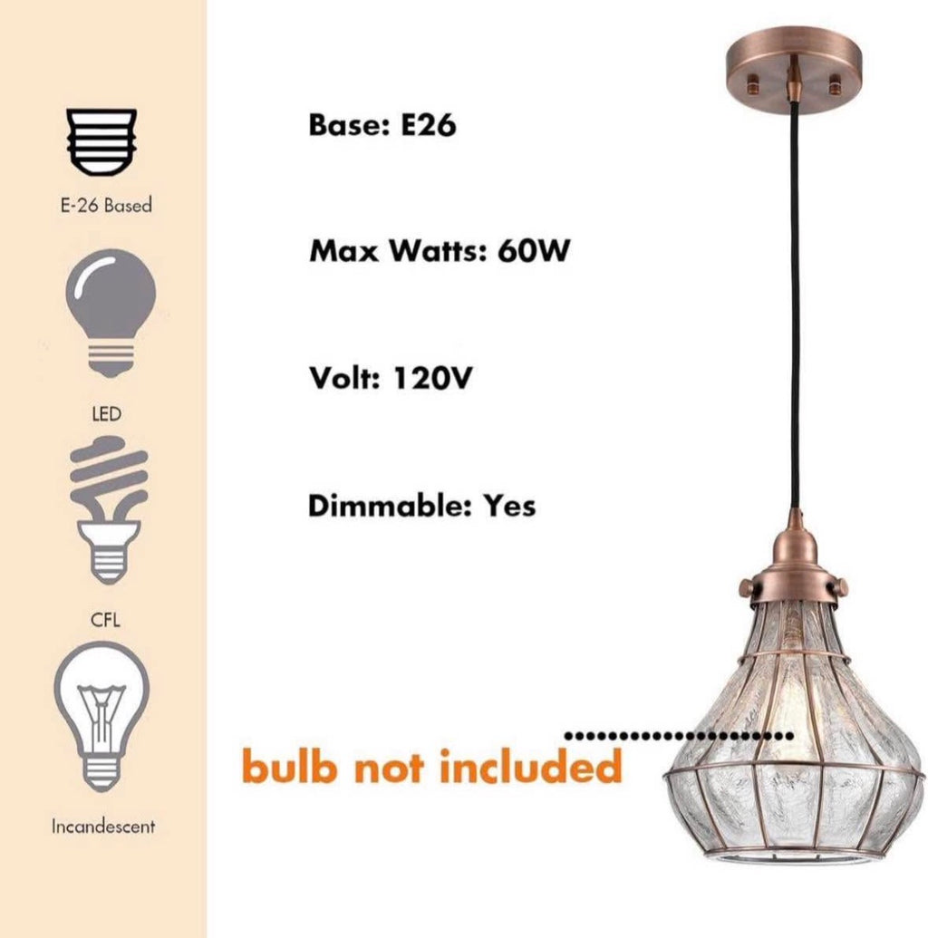 Vintage Wire Cage Ceiling Pendant Light