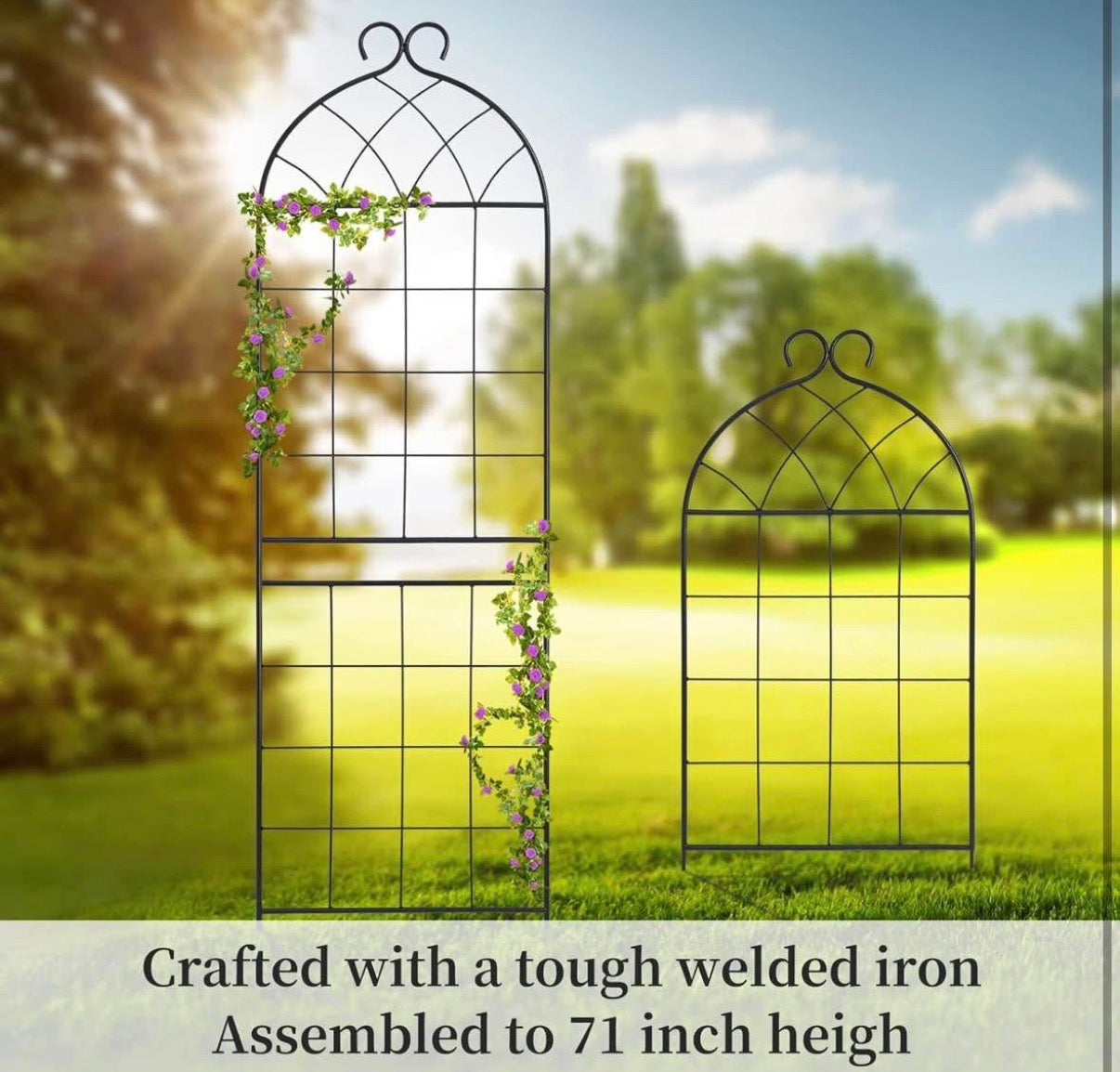 Garden Trellis 71" H x 19.7" W for Climbing Plants