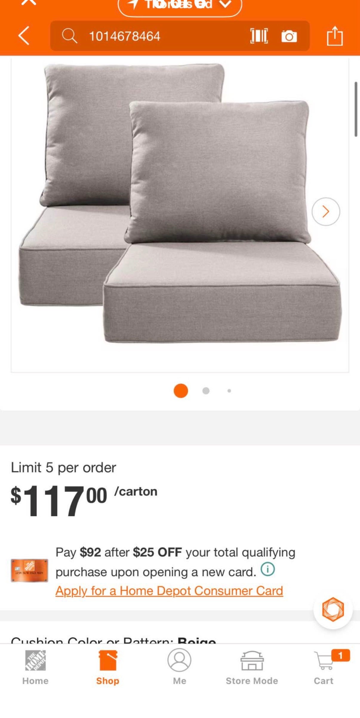 24 in., x 24 in., x 6 in. Outdoor Chair Cushion in Beige
