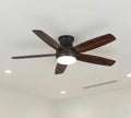 Ashby Park 52 in. Ceiling Fan with Light