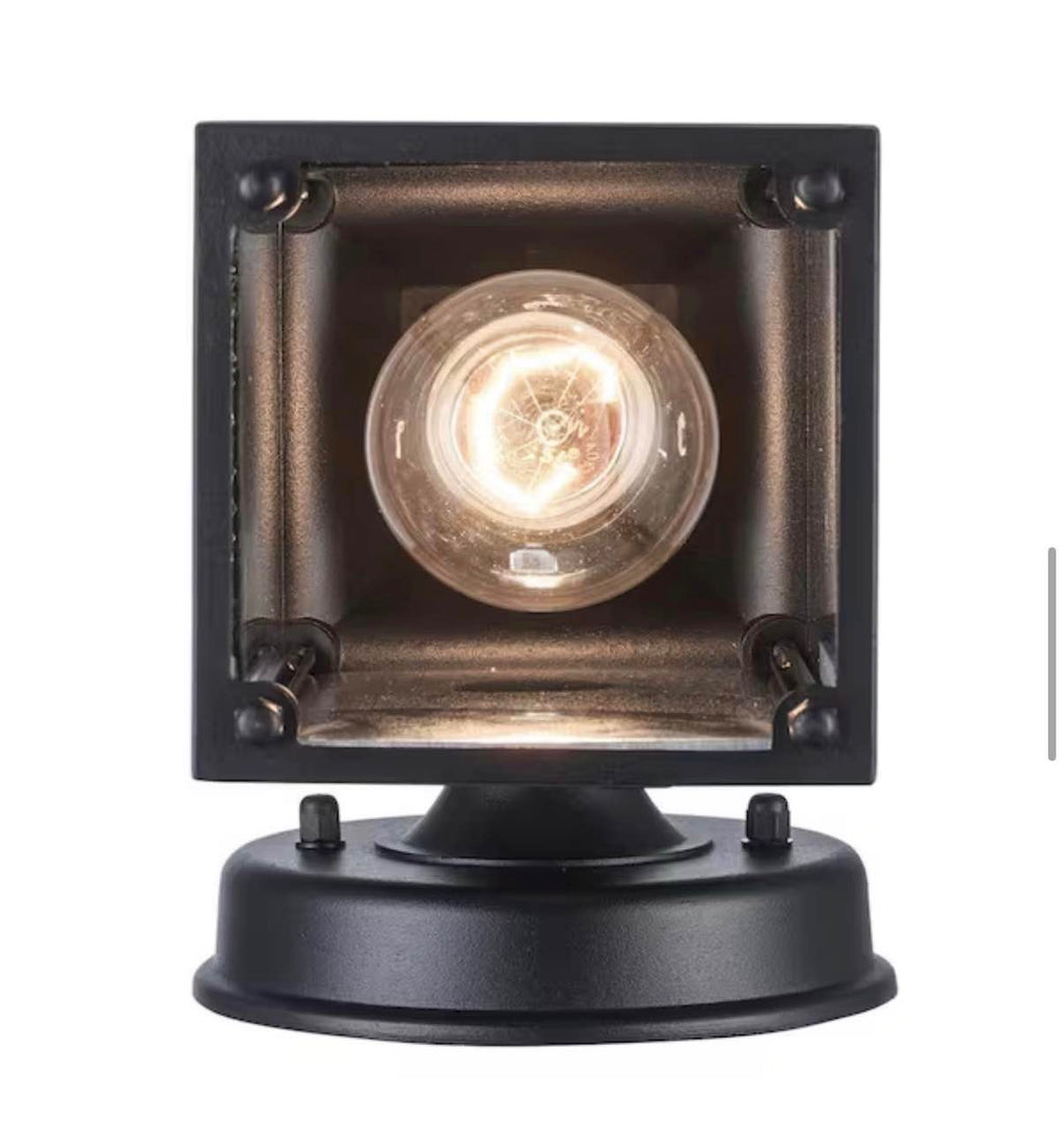 Patrician 1-Light Black Outdoor Wall Light