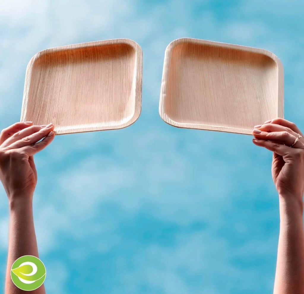 Palm Leaf Plates Bundle Set 100 Count (8" & 10")