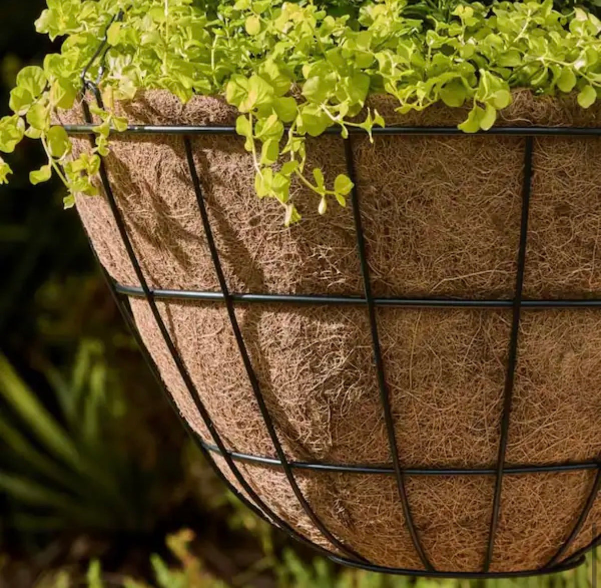 Large Black Metal Hanging Round Planter with Coco Liner