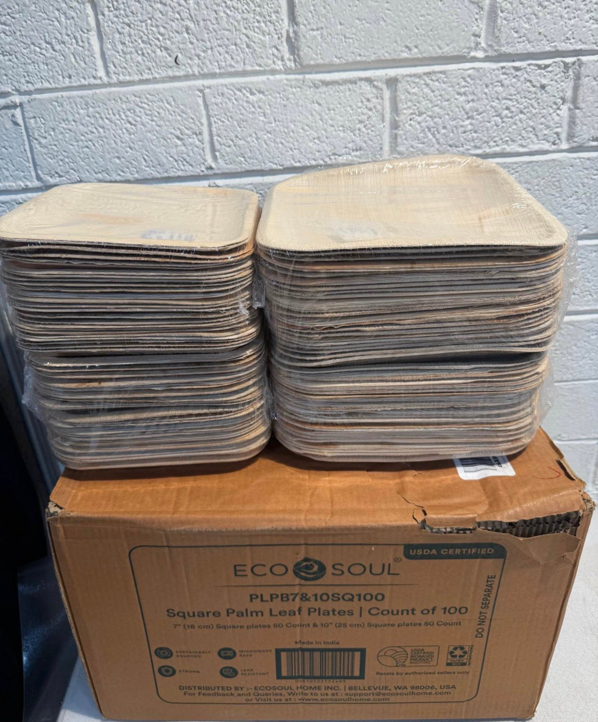 Palm Leaf Plates Bundle Set 100 Count (8" & 10")