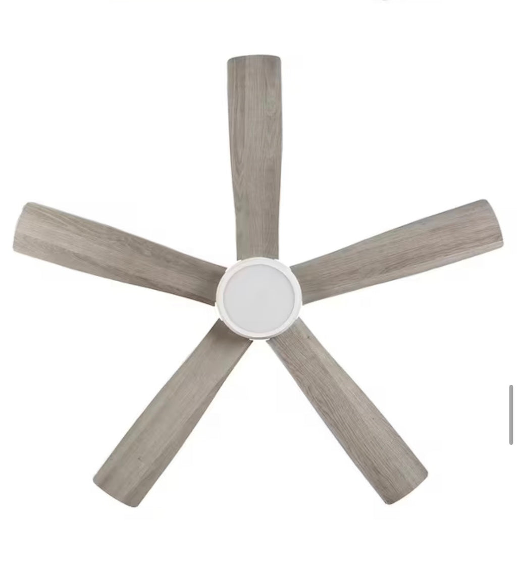 Fanelee 54 in. Smart Ceiling Fan with Light Kit