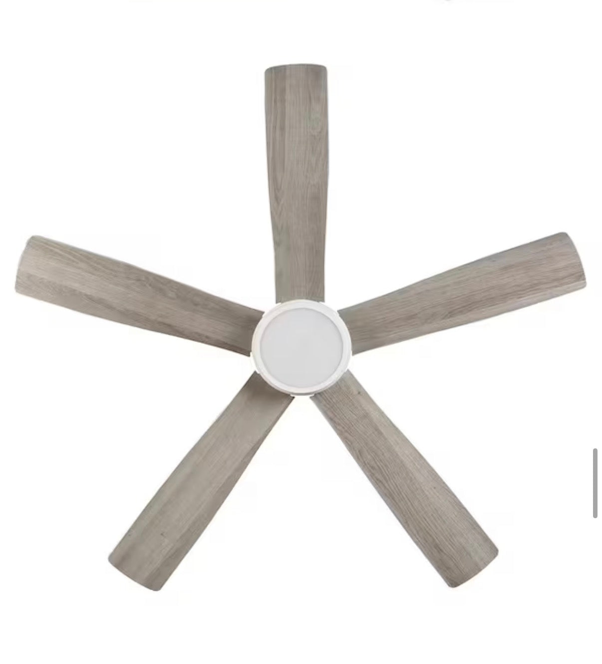 Fanelee 54 in. Smart Ceiling Fan with Light Kit
