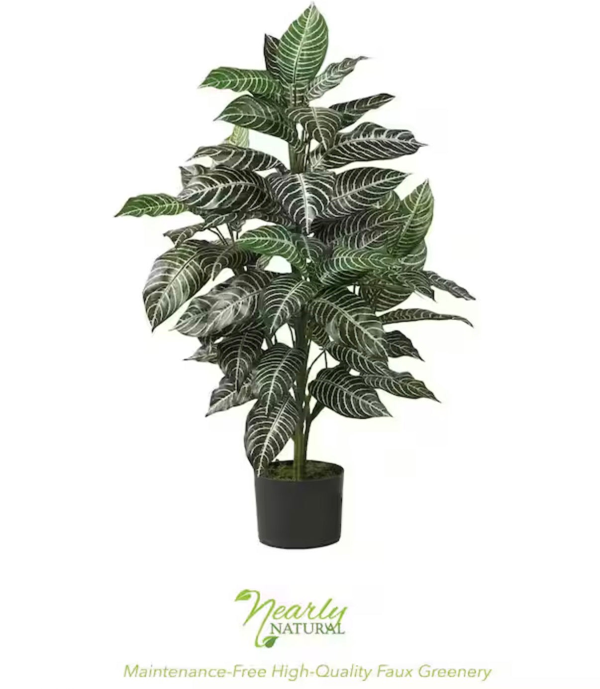 3 ft. Artificial Zebra Silk Plant