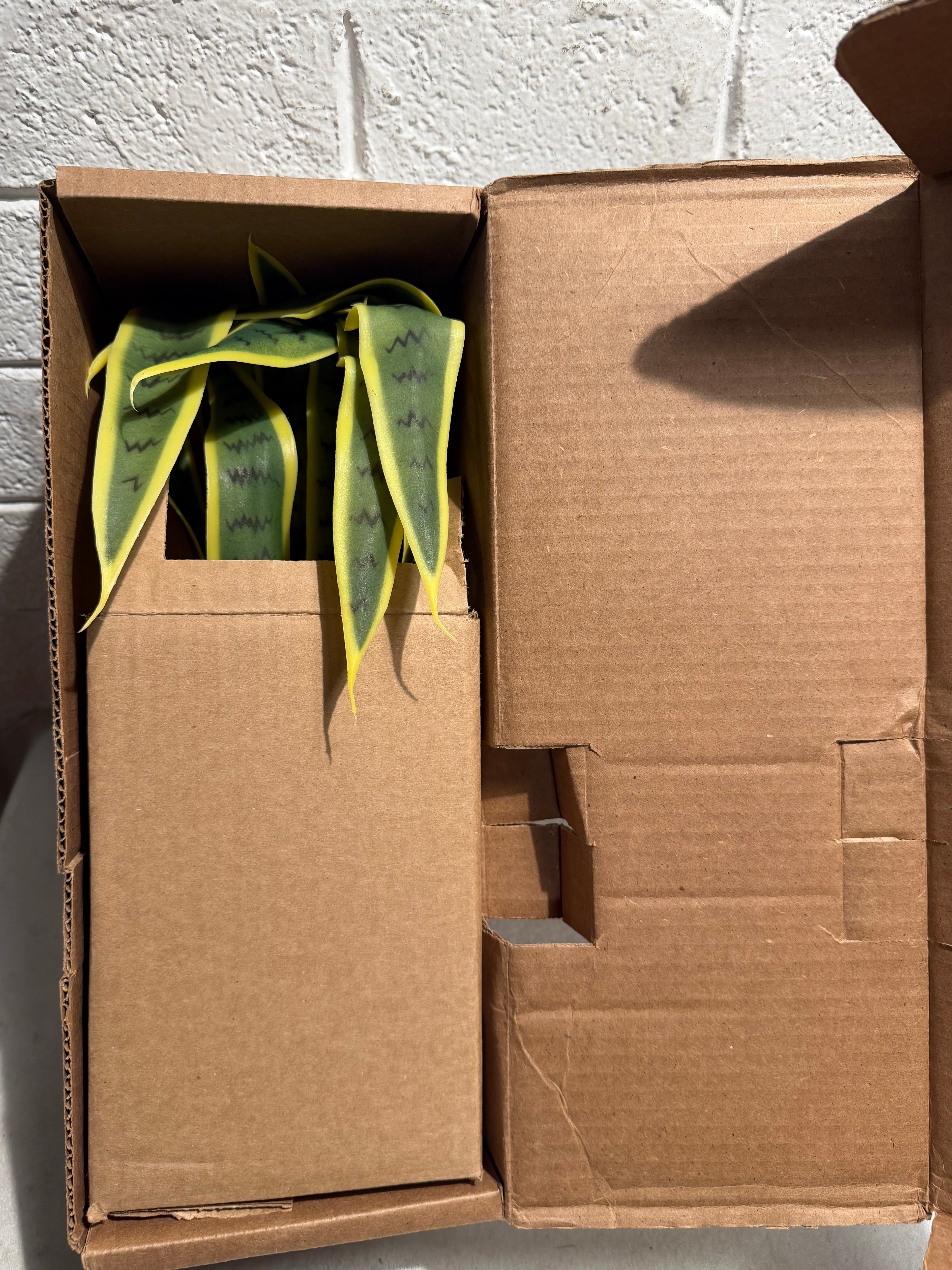 26 in. Indoor Sansevieria Artificial Plant