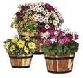Acacia Wood Barrel Planters (Set of 3)