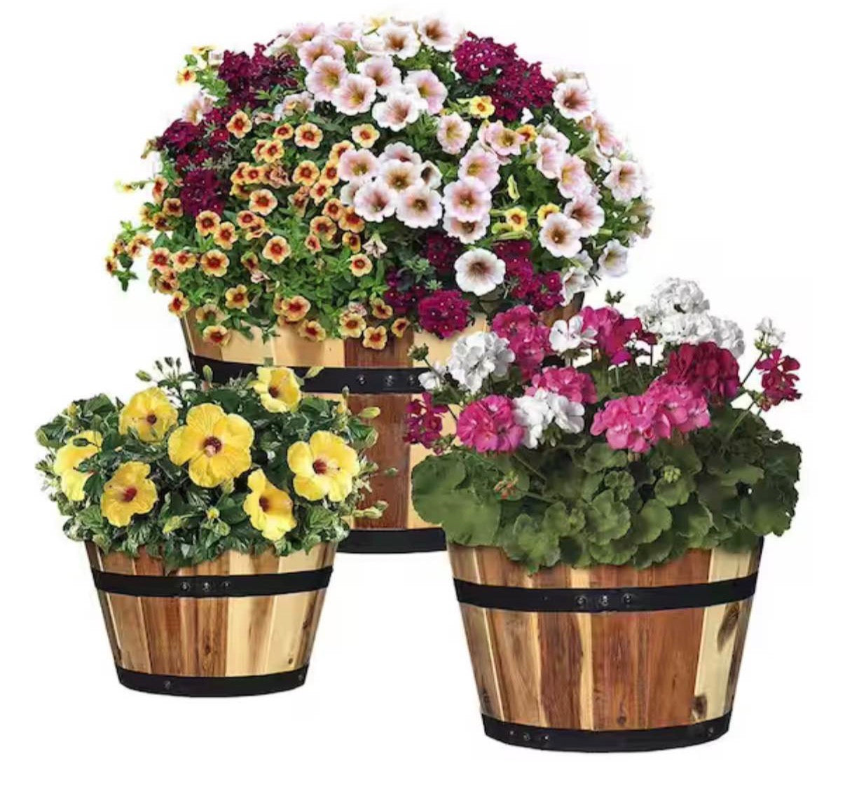 Acacia Wood Barrel Planters (Set of 3)